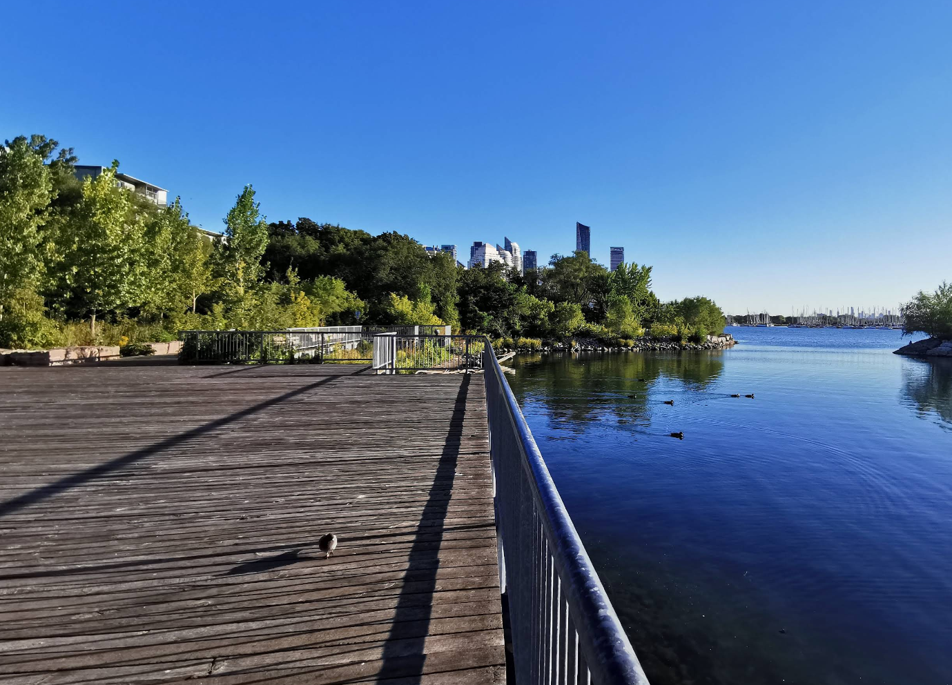 Humber Bay waterfront boardwalk with Toronto skyline